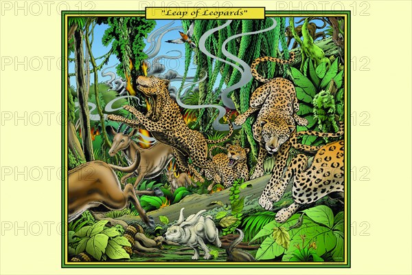 Leap of Leopards 2006