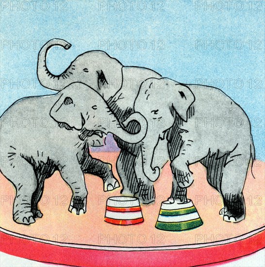 Three Elephants 1938