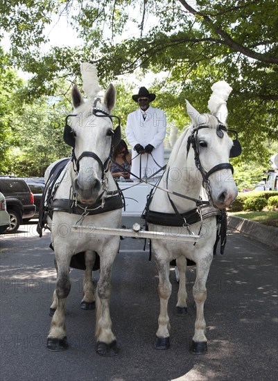 Horse Drawn Hearse for Do Dah Day 2010