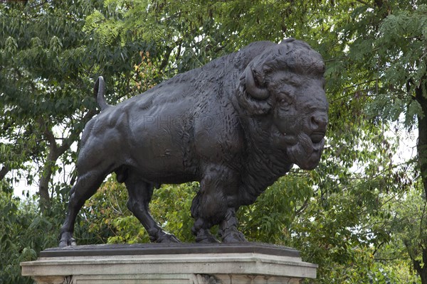 Buffalo statue Washington, D.C.  2010