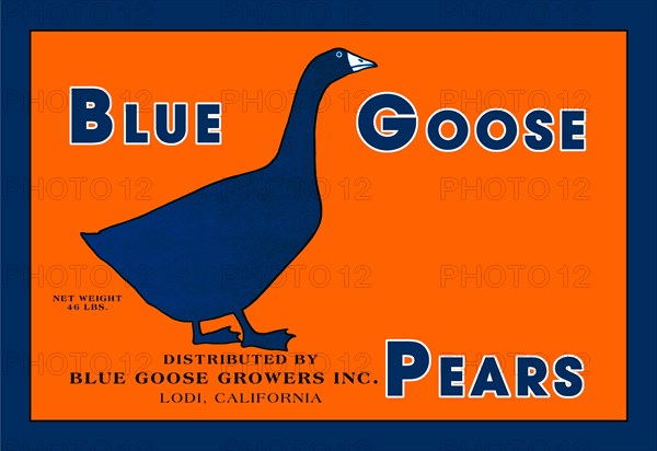 Blue Goose Pears