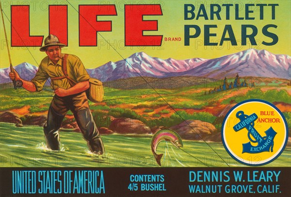 Life Brand Bartlett Pears