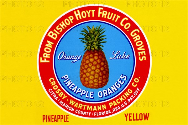 Orange Lake Pineapple Oranges