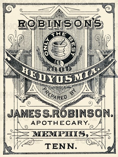 Robinson's Hedyosmia 1869