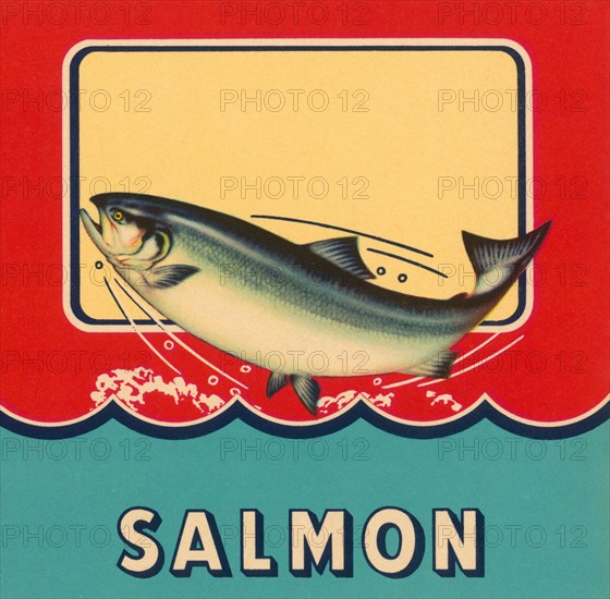 Salmon