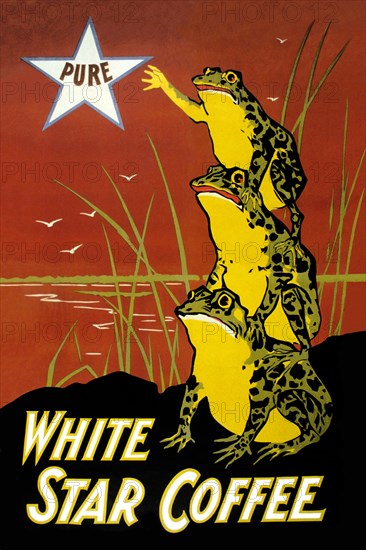 White Star Coffee 1899