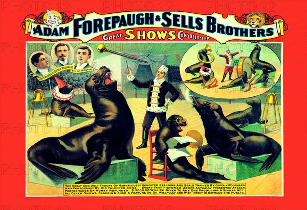 Troupe of Marvelously Educated Sea Lions and Seals: Adam Forepaugh and Sells Brothers Shows 1900