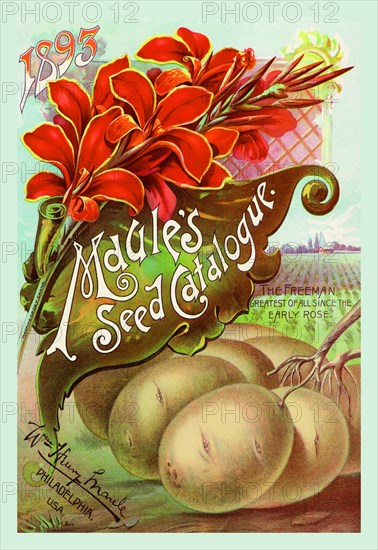 Maule's Seed Catalogue, 1893 1893