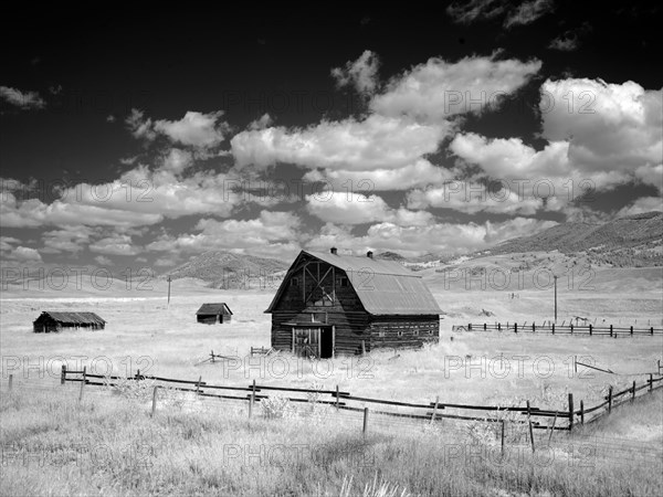 Barn, rural Montana 2007