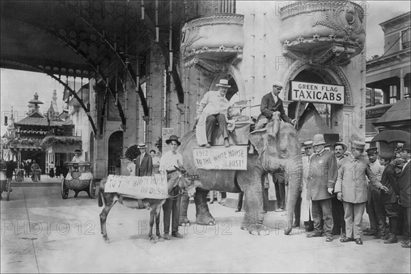 Elephant and Donkey in Luna Park