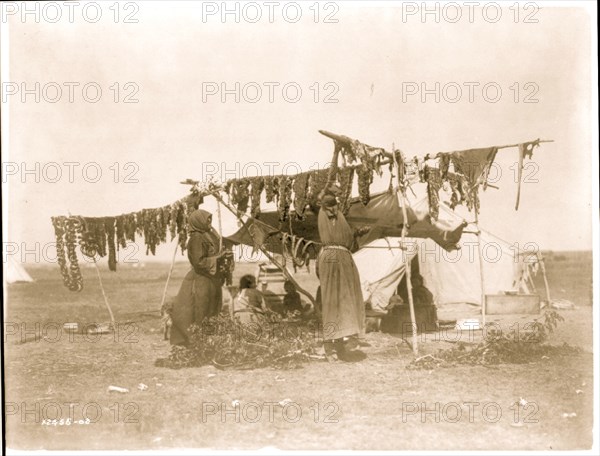 Drying meat 1908