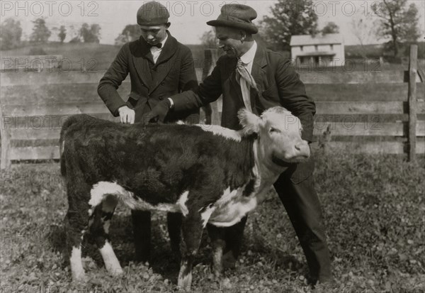 11 boys and 2 girls in Hillsboro are each taking a calf furnished by the County Farm Bureau on credit, 1921