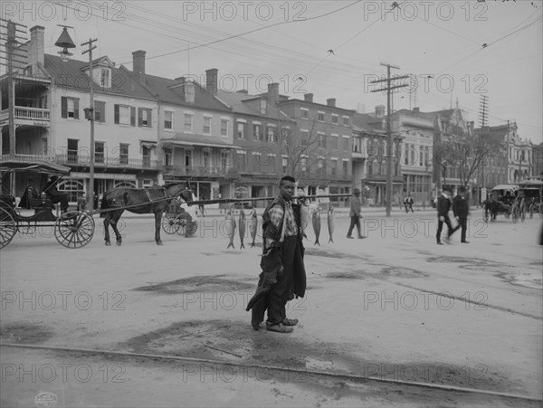 Southern Fish Vendor 1903