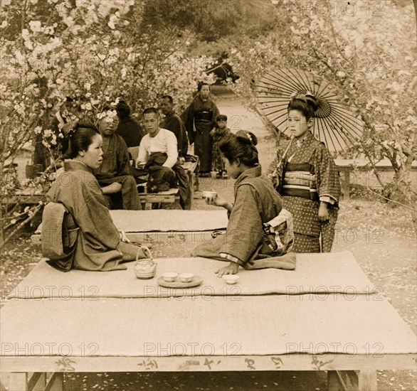 Spring Tea 1904