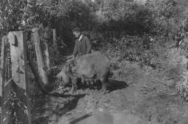 Austin Curtis and his pig project. 1921