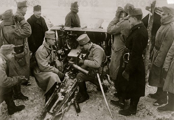 Austrian artillery in the Bukowina