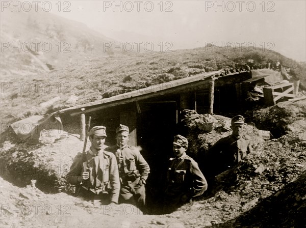 Austrians in the Tirol