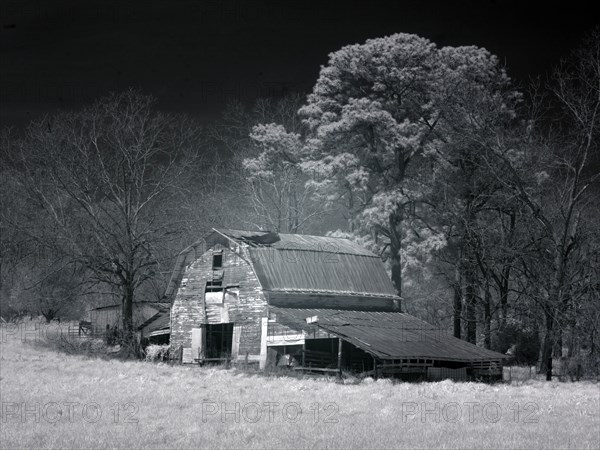 Barn, Dothan, Alabama 2010