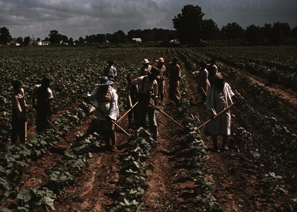 Bayou Bourbeau plantation operated by Bayou Bourbeau Farmstead Association, a cooperative established through the cooperation of FSA, Natchitoches, La. 1940