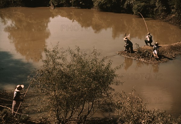 Blackes fishing in creek near cotton plantations outside Belzoni, Miss. 1939