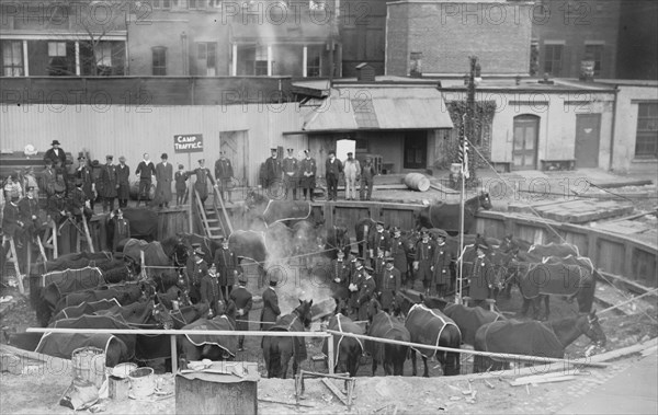 Corralled Police Horses in an Below Ground Pen prepare for strike & labor activity