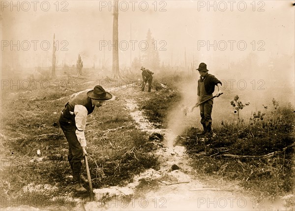 Firefighters of forest fire, South Dakota