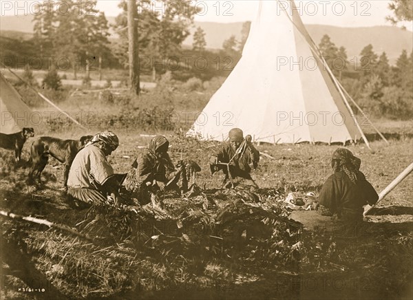 Jerking meat--Flathead 1910