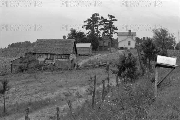 Black Sharecropper Farm 1939