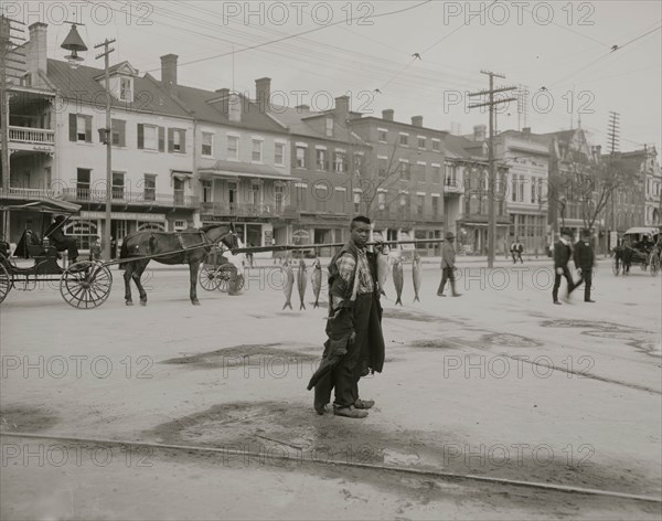 Southern fish vendor 1903