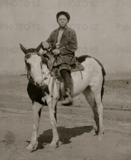 Part of the force picking tomatoes on farm of W.T. Hill.  1917