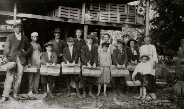 Picking strawberries on Clagett and Covington farm.  1916