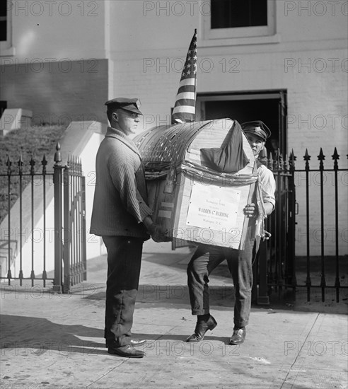 Harding Turkey Delivered to the White House 1921