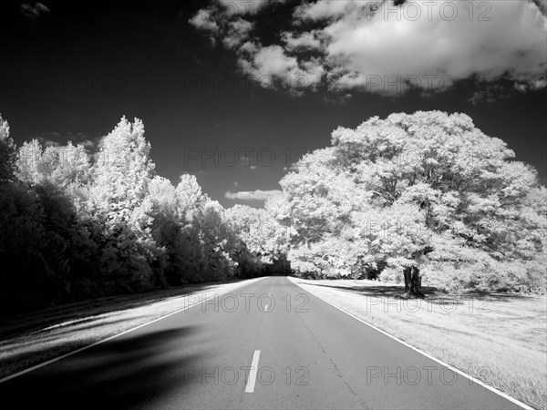 Natchez Trace Parkway, Mississippi 2007