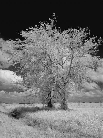 Natchez Trace Parkway, Mississippi 2007