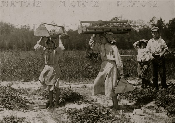 The girl berry carriers on Newton's Farm at Cannon, Del. 1911