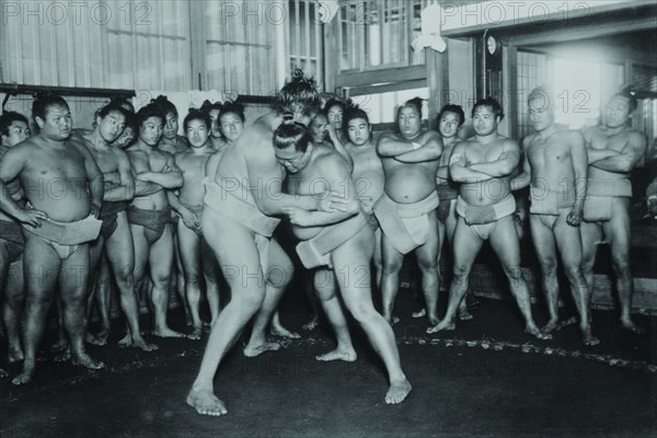 Sumo Wrestlers