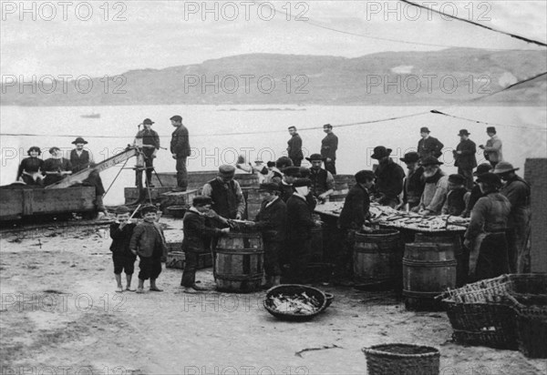 Donegal Fish, Ireland