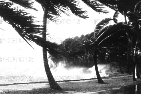 Hurricane Waves Strike the Seawall