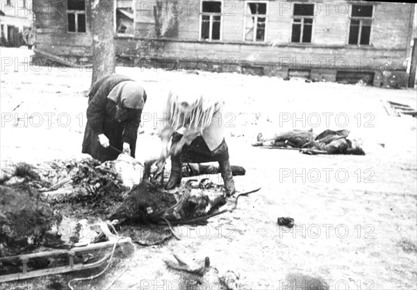 world war ll: a horse killed during the bombing is used for food during the leningrad blockade, 1943.