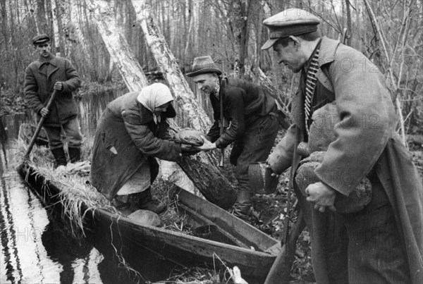 World war 2, an old peasant woman bringing bread to soviet partisans in byelorussia, january 1944.