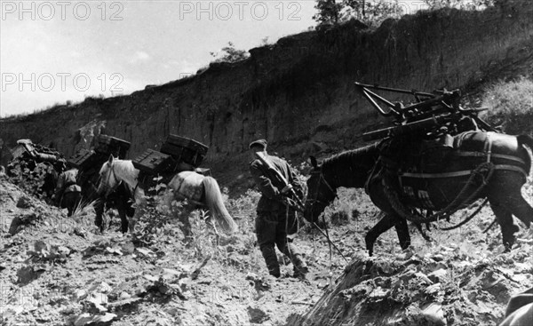 The 'x' mountain pack 107mm mortar regiment in the foothills of the carpathians, july 1944, world war ll.