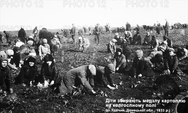 Children collect frozen potatoes in the collective farm's field, 1933' is on view at the exhibition 'declassified memory' in kiev, where documents from the archives of the ukrainian security service on golodomor, or the engineered famine of 1932 - 1933s, are displayed, the exhibition features criminal files of political repressions victims and firsthand testimony.