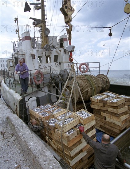 Leningrad region, russia, unloading of the catch (in pic), the collective enterprise 'baltika' is the only business in the region with the full production cycle from fishing to packing ready produce, the facility gives 3,000 tonnes of fresh and 13mln cans of processed sprats, april 29, 2002.