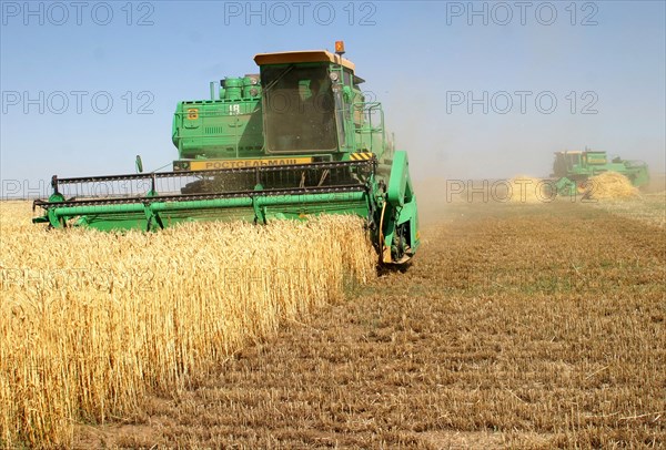 Wheat harvesting on the fields of the privolnoye farm in svetloyarsk district, russia's volgograd region, july 2006.