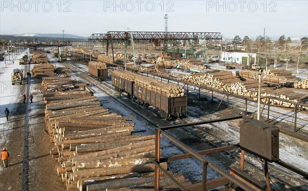 Siberian timber at freight yard 'taltsy' prepared for shipment to china, irkutsk region, russia, february 12 2003, more than a half of siberian timber comes from irkutsk region, about 70% of this timber go to china and around 24% - to japan.