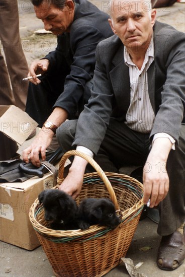 Man selling puppies at a pet market in moscow, 1989.