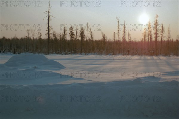 Winter morning in siberian taiga, russia,1998.