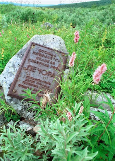 This tiny brook in the northern urals is the source of the great pechora river, russia, 1994.