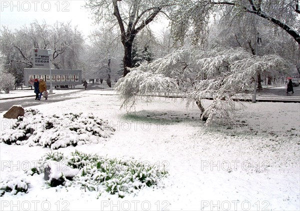 A beautiful view of a public garden in novosibirsk, with the trees covered with thick snow, siberia, russia.