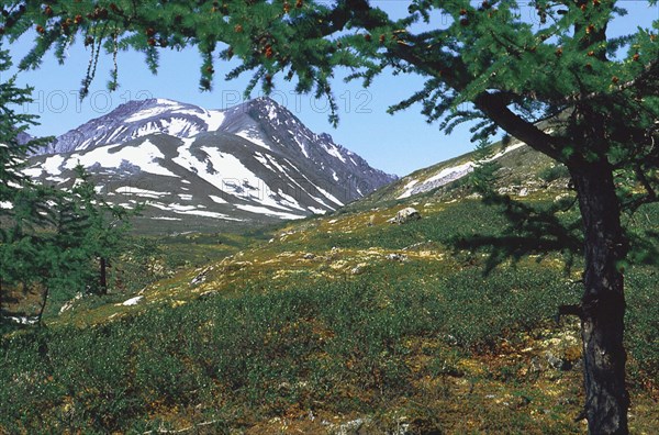 The ugra peak in the north urals in summer, khanty-mansi autonomous district, russia.